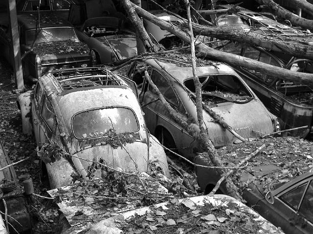 Autofriedhof - 118.JPG - Historischer Autofriedhof,    Gürbetal (CH)